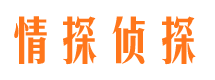 顺河找人公司